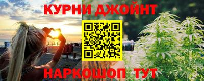 индика Дубна