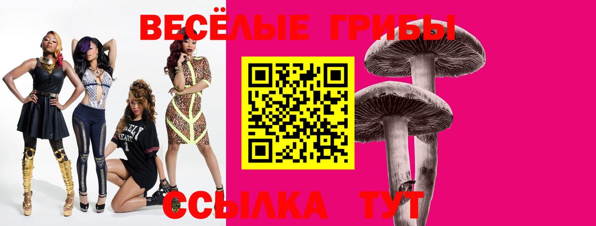 Псилоцибиновые грибы Cubensis  Галлюциногенные грибы мухоморы  купить наркотик  Мариинск  Вход с VPN 